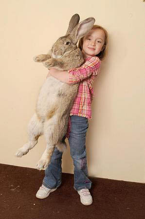 Самый большой в мире пасхальный кролик