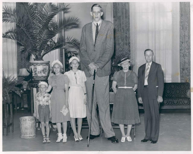 Самый высокий человек в мировой истории: Роберт Першинг Уодлоу