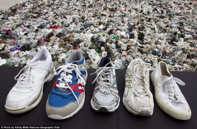 Наибольшее количество обуви, собранное в одном месте