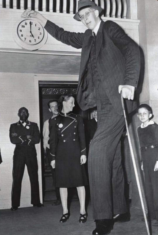 Самый высокий человек в мировой истории: Роберт Першинг Уодлоу